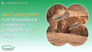 Jawai Leopard Safari from Ahmedabad & Gandhinagar: Complete Travel Guide